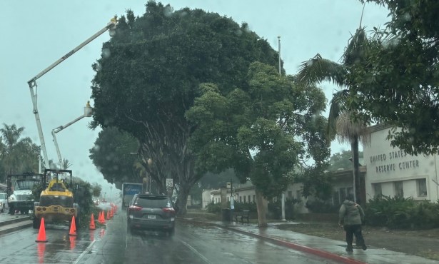 Tree Trimming on Upper State Brings Traffic to a Halt