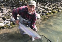 S.B. Fly Fishers Launching ‘Save Santa Barbara Steelhead’ Campaign